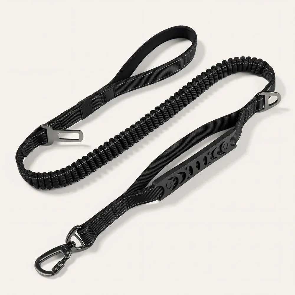 Laisse élastique 1m40