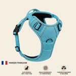 miniature couleur 6