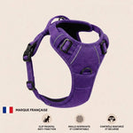 miniature couleur 4