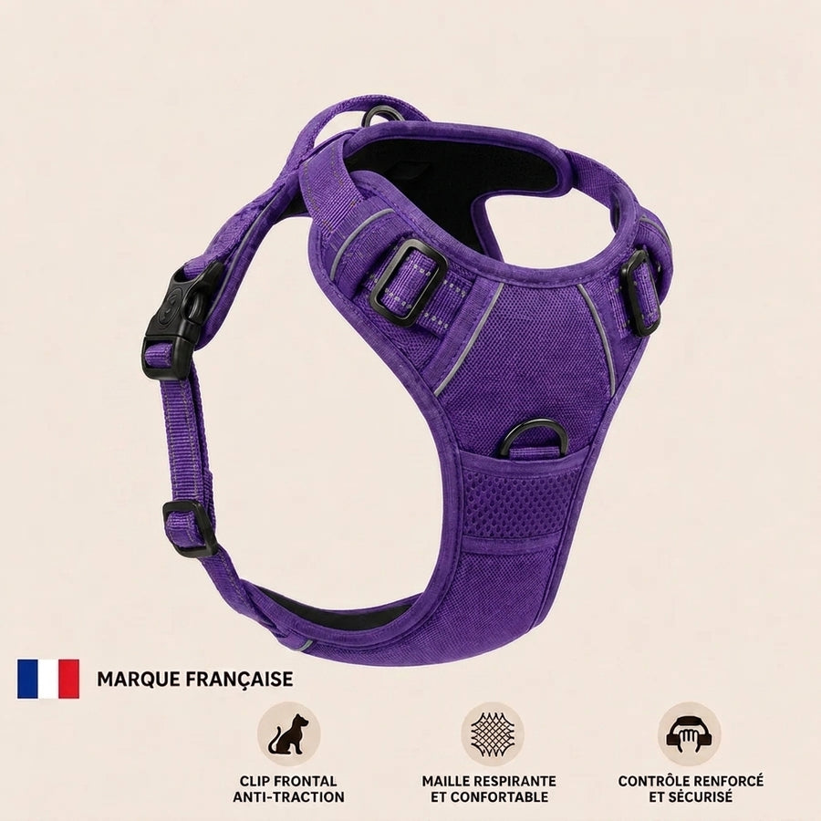 Harnais Anti-Traction Pattoria — couleur 4