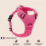 miniature couleur 3